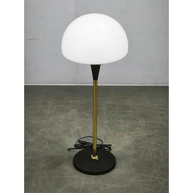 Space Age Brass and Opaline Glass Floor Lamp from Lidokov, 1960s For Sale - Image 13 of 14