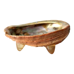 Mid Century Abalone Shell Footed Bowl