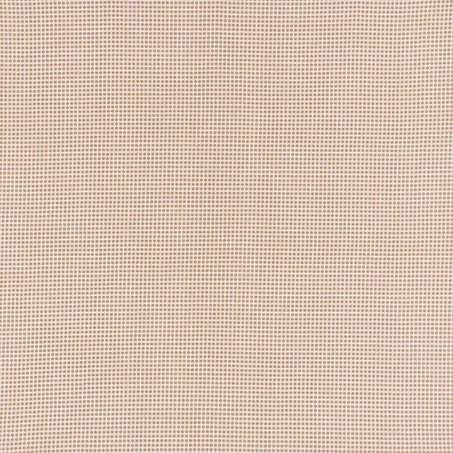 Sample - Schumacher X Studio Bon Stella Ii Fabric in Sand For Sale