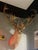 Vintage Caribou Taxidermy Mount – Impressive Oversized Antler Rack For Sale - Image 9 of 9