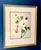 Contemporary Original Art, Morning Glories, Custom Framed Art Painted on Silk For Sale - Image 3 of 11