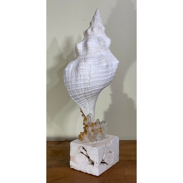 Handcrafted Marine & Mineral Sculpture by Joseph Malekan For Sale - Image 17 of 18