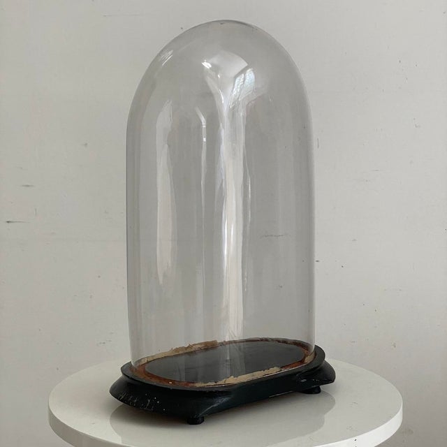 19th Century Wedding Globe For Sale - Image 4 of 7