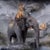 Amazonia by Marcin Owczarek | Photography - Dye Sublimation on Aluminum of a surreal elephant scene For Sale - Image 4 of 4