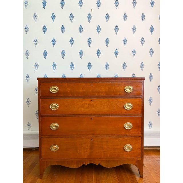 Antique Early 1800s Southern Neoclassical Mahogany Chest of Drawers, Likely Virginia For Sale - Image 14 of 14