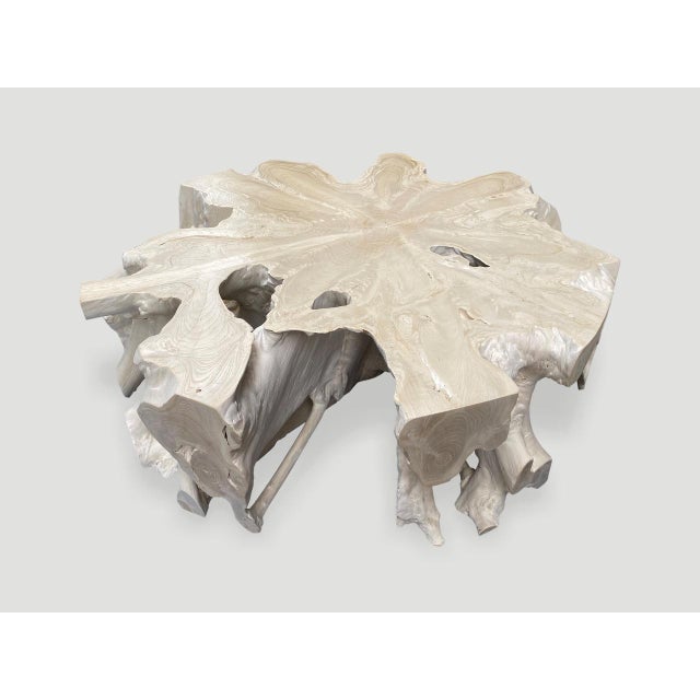 Andrianna Shamaris Bleached Teak Wood Round Organic Coffee Table For Sale - Image 18 of 18