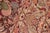 1990s Intricate Shabby Chic 1990's Pak-Persian Brown/Beige Wool Rug - 8'2'' X 10'6'' For Sale - Image 5 of 9
