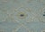 Kilim Oriental Handmade Flatweave 9'6" x 12'2" #17881 For Sale In Houston - Image 6 of 8