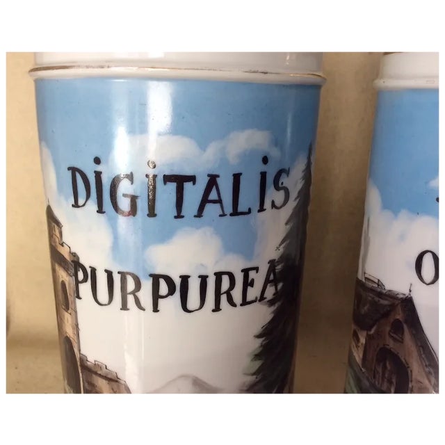 Antique 19thC French Apothecary, Drug Store Jars, Hand Painted For Sale - Image 4 of 13