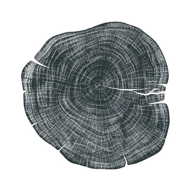 Contemporary Stump 1 - Variation 1 by Trinette + Chris Print with Black Frame - 14 X 14 For Sale - Image 3 of 3