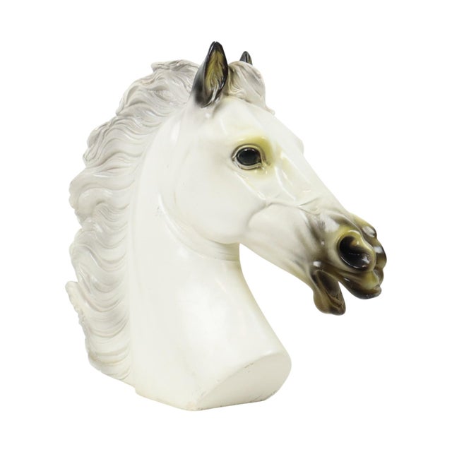1960s Large Classical Greek Style Parthenon Horse Bust in Plaster For Sale - Image 5 of 17