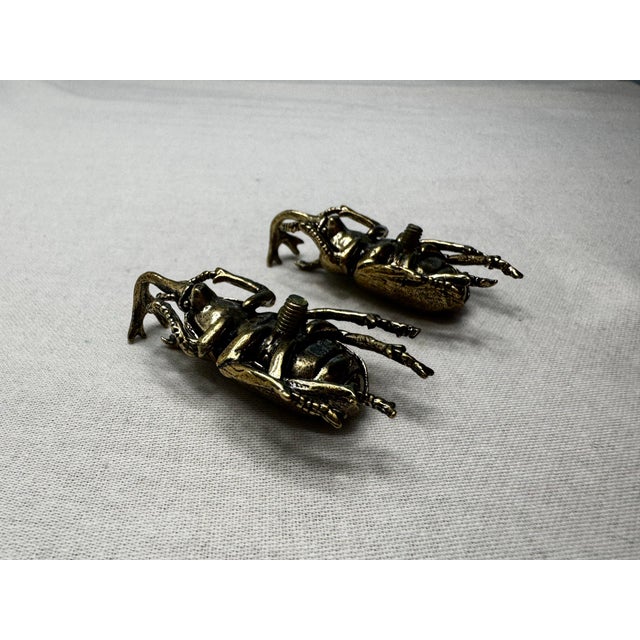 Brass Pair of Vintage Victorian Revival Solid Brass Beetle Cabinet Knobs Hardware For Sale - Image 8 of 12