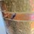 Traditional Hammered Copper Banded Brass Planter or Wastebasket For Sale - Image 11 of 12