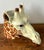 Vintage Italian Glazed Ceramic Giraffe Cache Pot For Sale - Image 10 of 12