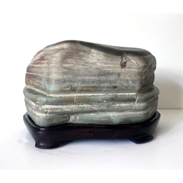 Chinese Scholar Stone Caitao Rock on Display Stand For Sale - Image 9 of 18