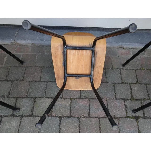 Mid-Century Plywood Chairs, 1960s, Set of 5 For Sale - Image 4 of 12