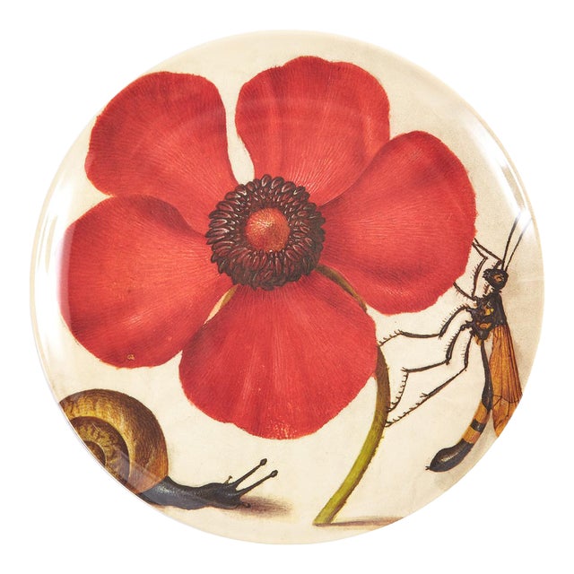 Botaniste Dinner Plates, Set of 4 For Sale