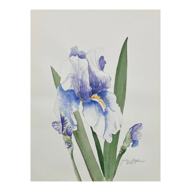 1995 Julie Stephens Iris Still Life Watercolor For Sale