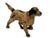 1930s Large Vintage 1930s Hubley Manufacturing Co. Cast Iron Setter Hunting Dog Doorstop For Sale - Image 5 of 18