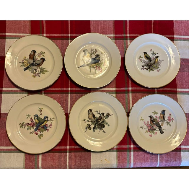 Mid Century Jkw Western Germany Porcelain Song Bird Plates, Set of 6 For Sale - Image 12 of 12