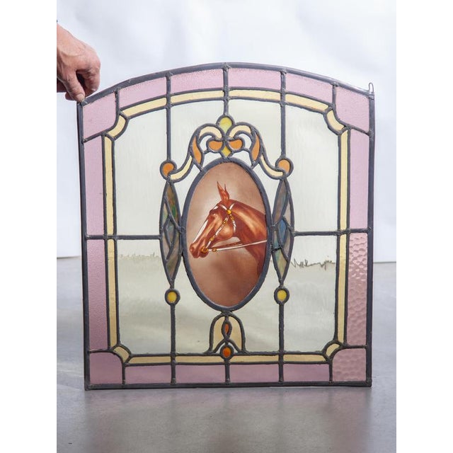 1920s Art Deco Stained Glass Window Panel with Hand-Painted Horse Medallion, 1920 For Sale - Image 5 of 8