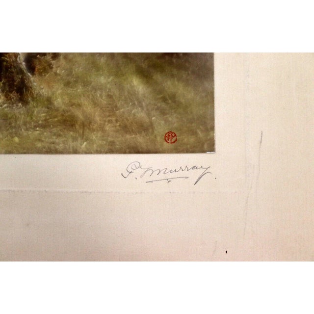 Photorealism Percy Murray Golden Autumn Signed Vintage Photograph For Sale - Image 3 of 6