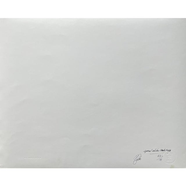 Roberto Salas, Che Guevara, Silver Print For Sale - Image 4 of 6