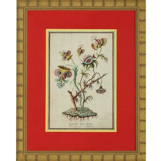 "Fleurs Des Indes" For Sale