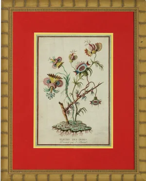 "Fleurs Des Indes"