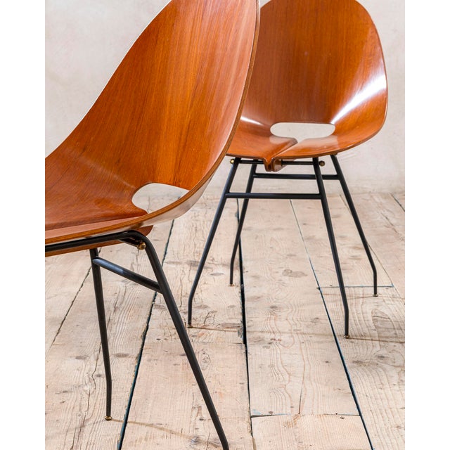 1950s Wooden Chairs attributed to Carlo Ratti, 1950s, Set of 4 For Sale - Image 5 of 7