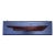 American Half Hull Mounted on Board For Sale