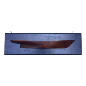 American Half Hull Mounted on Board