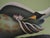 Modern Jean-Paul Donadini, Le cygne et le coquillage, Lithograph For Sale - Image 3 of 8