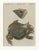 Antique South American Horned Frog, 1798 For Sale - Image 6 of 10