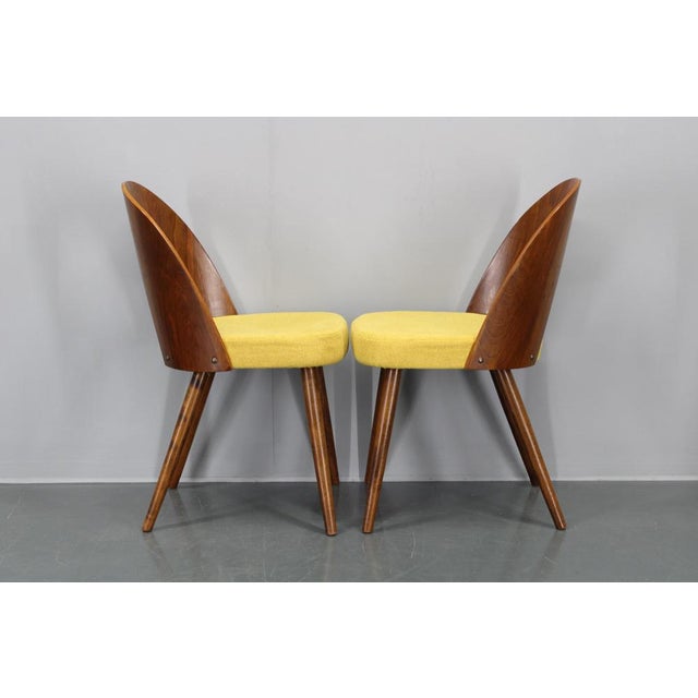 Vintage Dining Chairs in Walnut by Antonin Suman, 1960s, Set of 4 For Sale - Image 13 of 17
