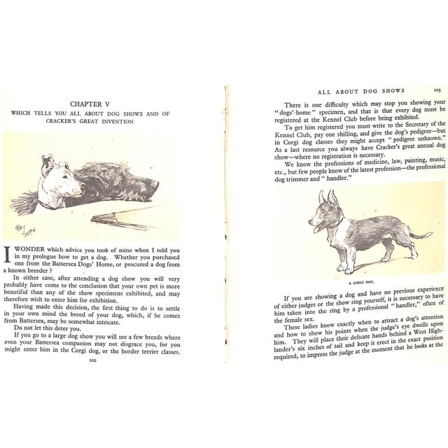 "Dogs of Character" Book 1927 Aldin, Cecil For Sale In New York - Image 6 of 12