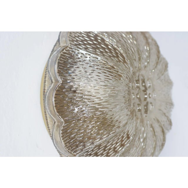 Mid-Century Flower Sconce, 1960s For Sale - Image 4 of 9