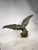Statue Depicting an Eagle with Open Wings, 1890s-1910s, Bronze For Sale - Image 10 of 13
