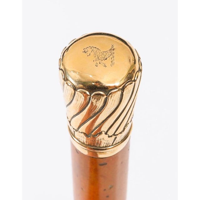 19th Century Antique Walking Stick Cane in 18k Gold Pommel, 1800s For Sale - Image 5 of 11