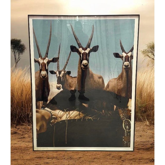 A framed large-format gelatin silver print depicting a dioramas of gemsbok antelope from the American Museum of Natural...