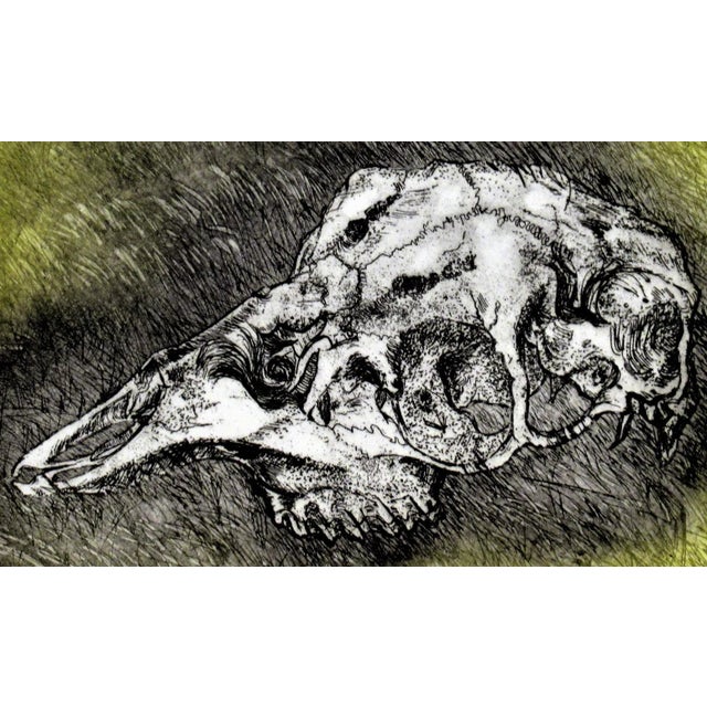 Impressionist Arnold A. Grossman, Skull, 1990 For Sale - Image 3 of 5