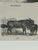 Webb & Millington, The Panorama of Horses, 1850, Engraving For Sale - Image 16 of 18