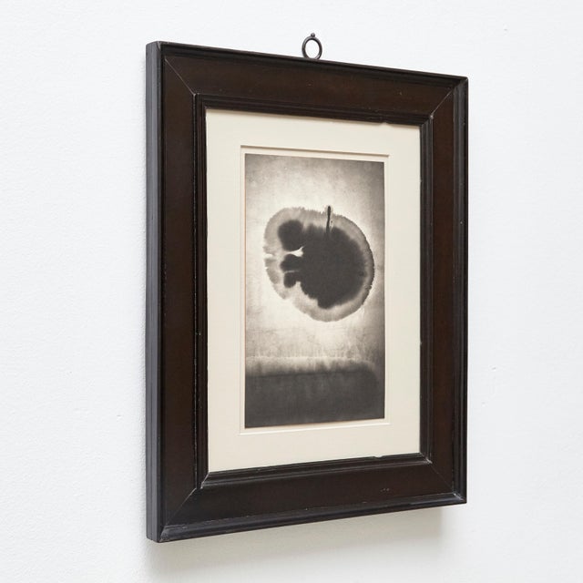 This photograph was made by Albarran & Cabrera in Barcelona, Spain. This platinum/palladium print is signed, titled,...