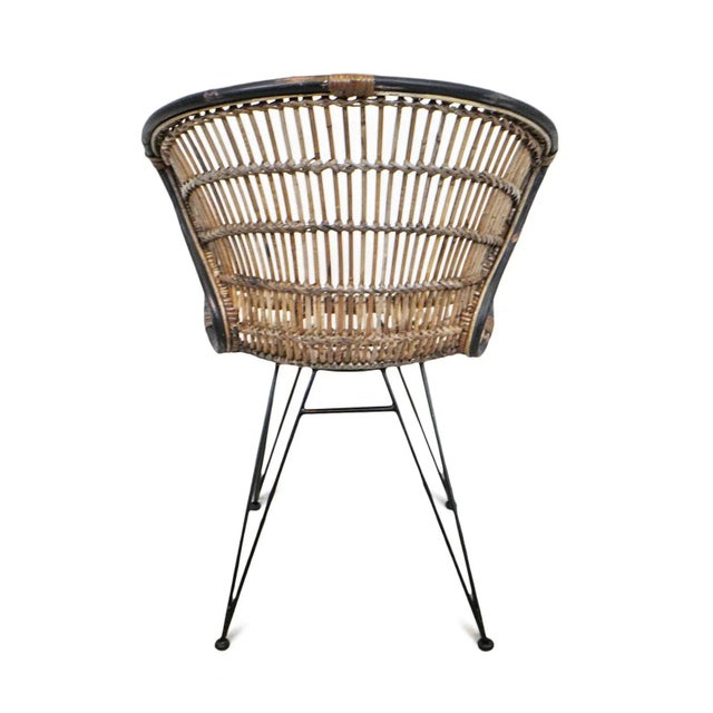 Rattan & Black Scoop Dining Chair For Sale In Los Angeles - Image 6 of 9