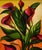 This acrylic on board, sized 17" x 21", features a vibrant depiction of red calla lilies in bloom. The artist, Yulias,...
