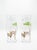 2000 - 2009 Pair of Glass Hand-Painted African Wildlife Hurricane For Sale - Image 5 of 12