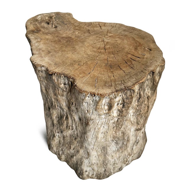 Wood Vintage Lychee Burn Sand Stump Side Table For Sale - Image 7 of 7