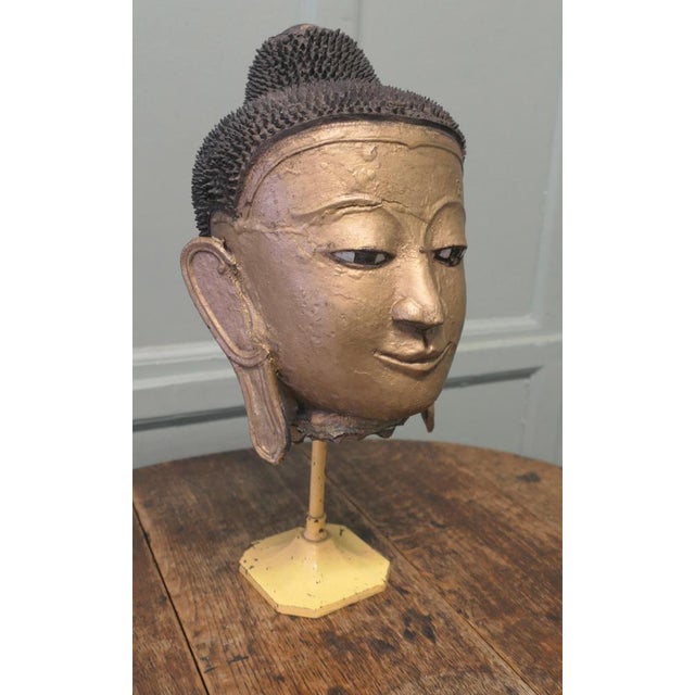 Paint Burmese Buddha Head in Gilt Dry Lacquer For Sale - Image 7 of 9