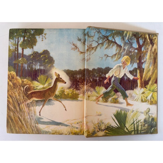 The Yearling Hardcover 1950 by Marjorie Kinnan Rawlings With Pictures by N. C. Wyeth Charles Scribner's Sons • New York For Sale - Image 12 of 12