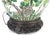 Ceramic 19th Century Chinese Famille Verte Porcelain Ginger Jar Lamp Converted to a Lamp With Hardstone Finial For Sale - Image 7 of 13